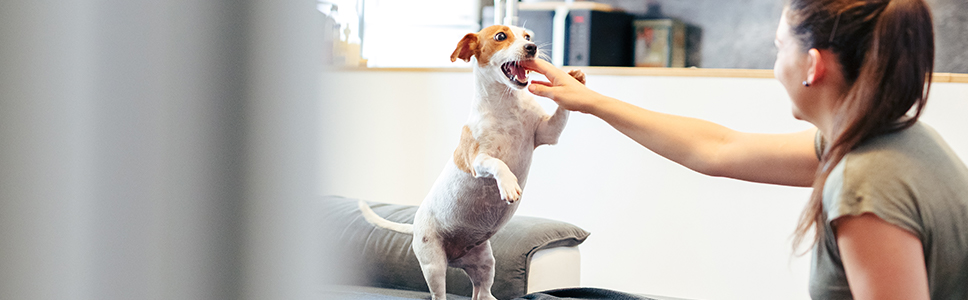 Weitere Informationen: